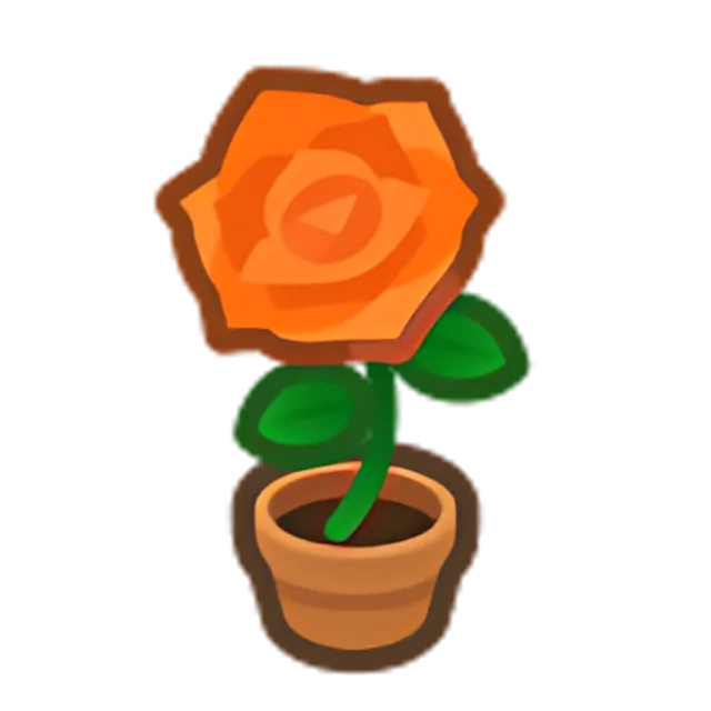 Orange-Rose Plant