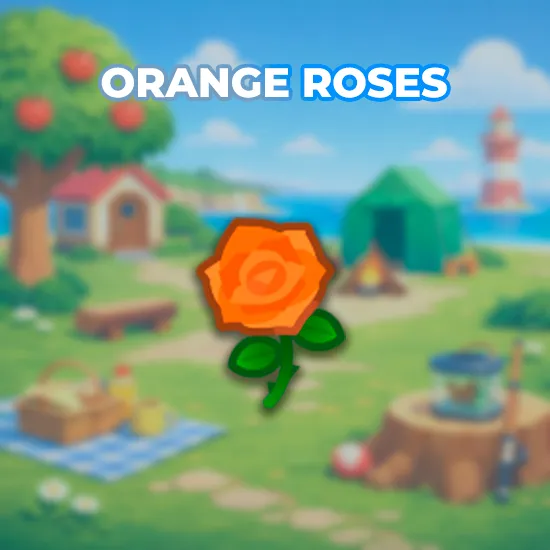 Orange Roses