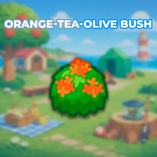 Orange-Tea-Olive Bush