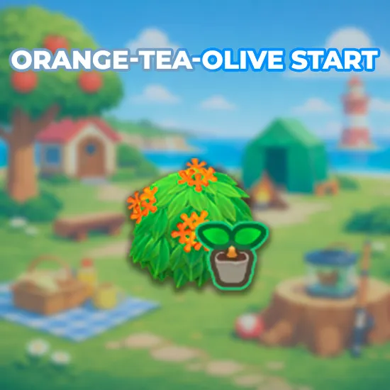 Orange-Tea-Olive Start