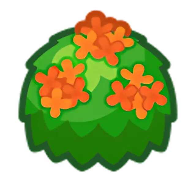 Orange-Tea-Olive Bush