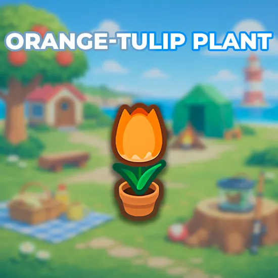 Orange-Tulip Plant