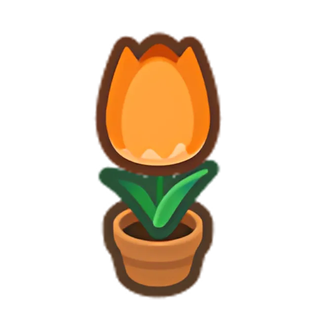 Orange-Tulip Plant