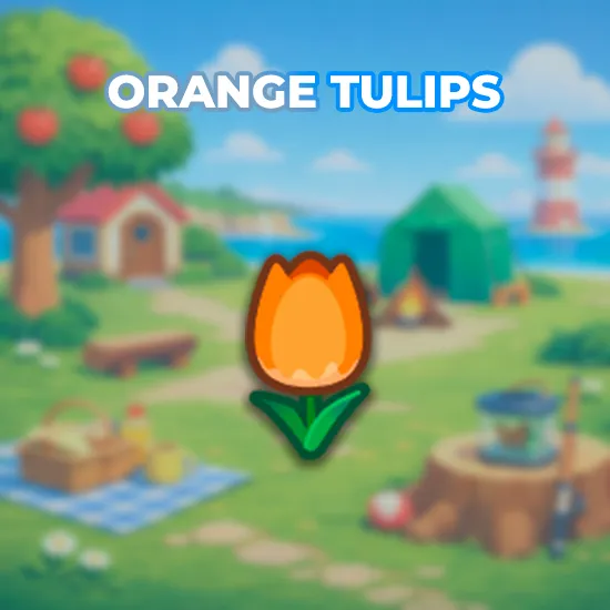 Orange Tulips
