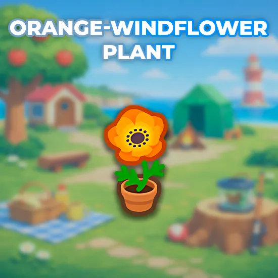 Orange-Windflower Plant