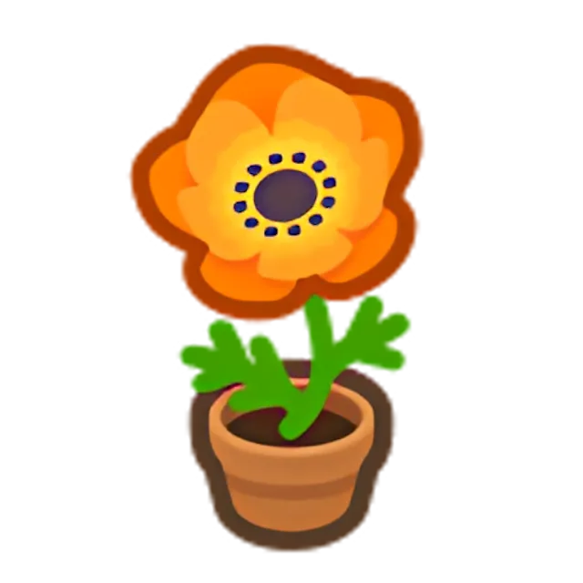 Orange-Windflower Plant