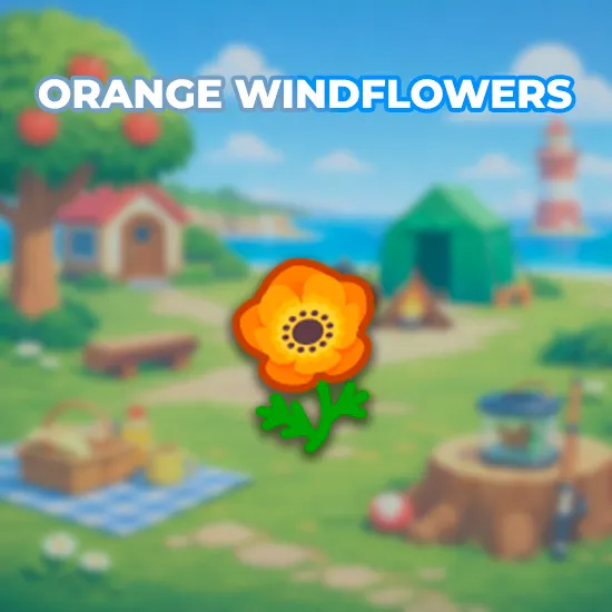 Orange Windflowers