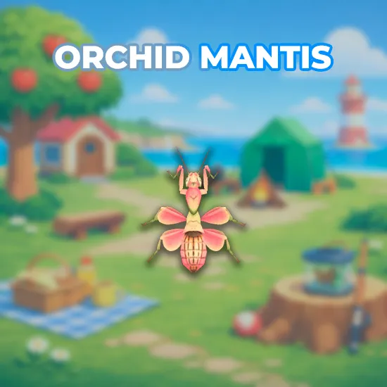 Orchid Mantis