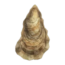Oyster