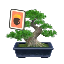 Pine Bonsai Tree DIY