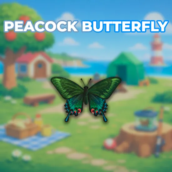 Peacock Butterfly