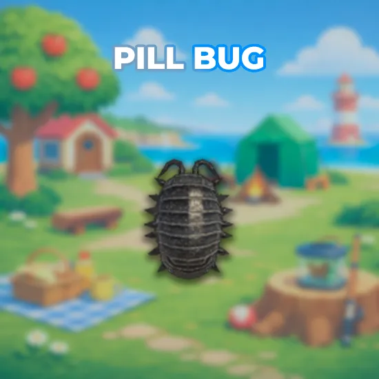 Pill Bug