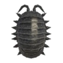 Pill Bug