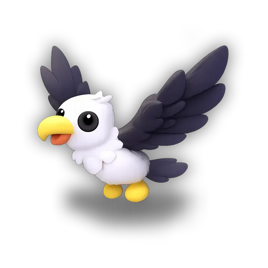 Pilot Gull