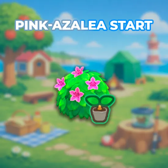 Pink-Azalea Start