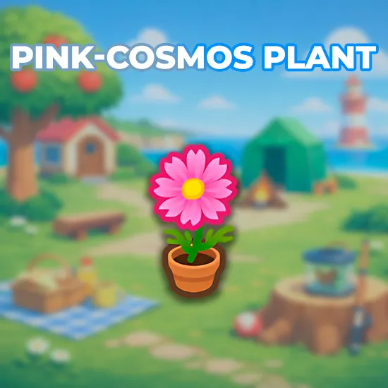 Pink-Cosmos Plant