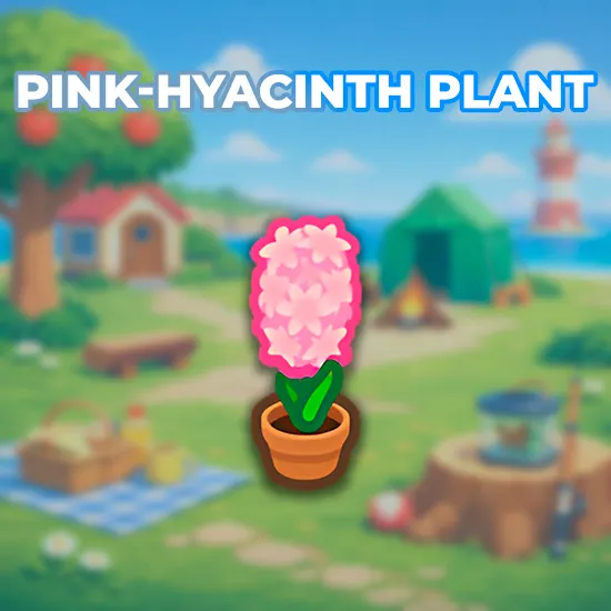 Pink-Hyacinth Plant
