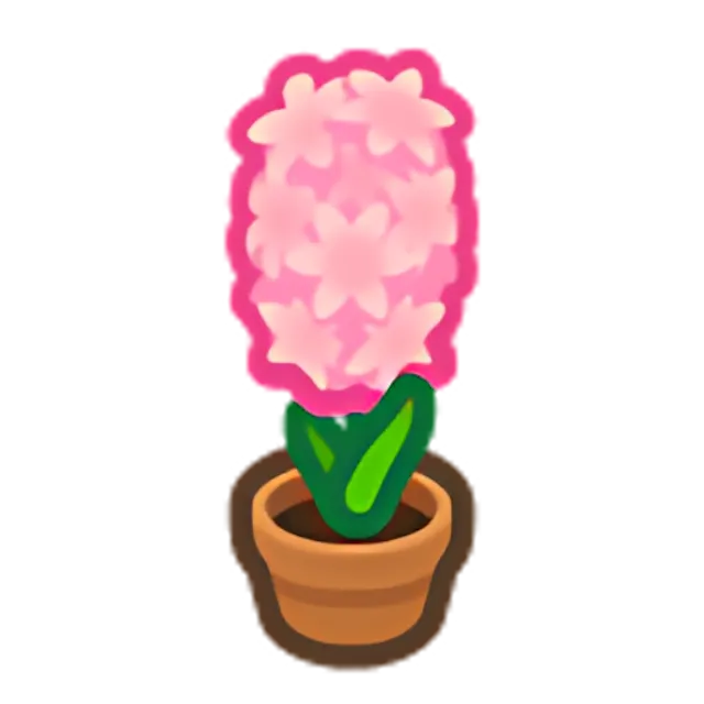 Pink-Hyacinth Plant