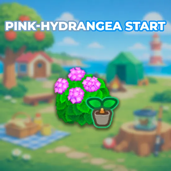 Pink-Hydrangea Start