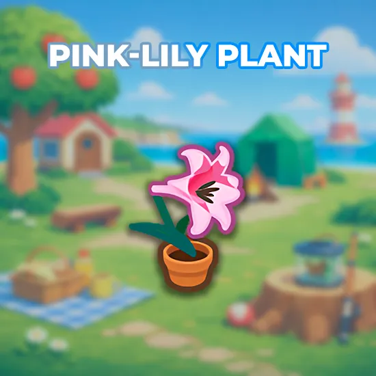 Pink-Lily Plant