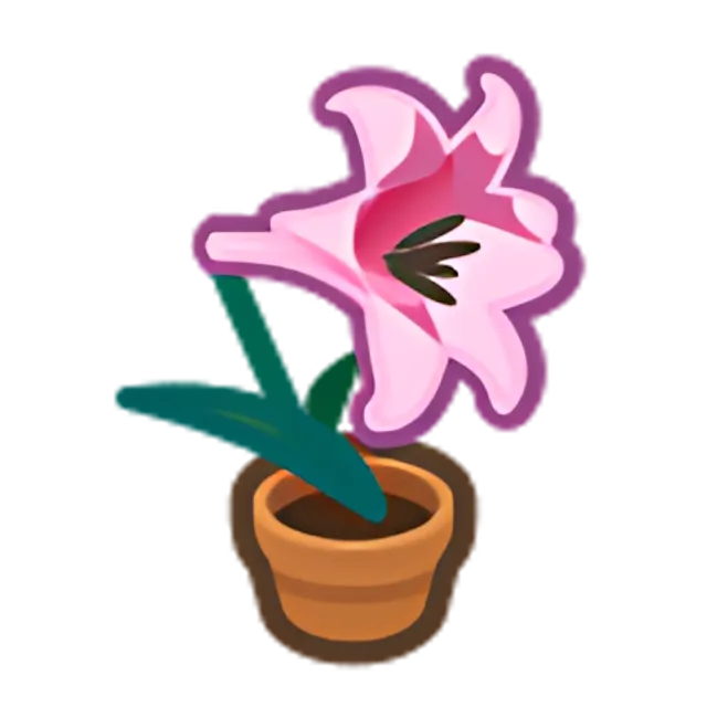 Pink-Lily Plant