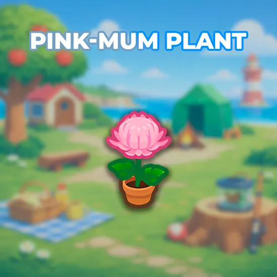 Pink-Mum Plant