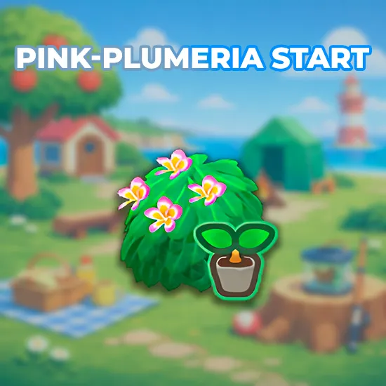 Pink-Plumeria Start