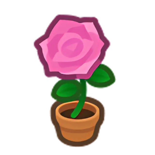Pink-Rose Plant