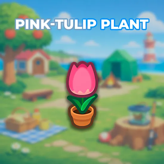 Pink-Tulip Plant