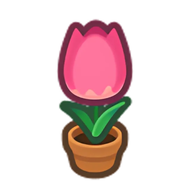 Pink-Tulip Plant