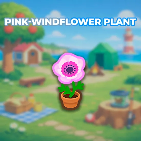 Pink-Windflower Plant