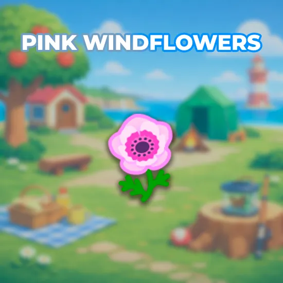 Pink Windflowers