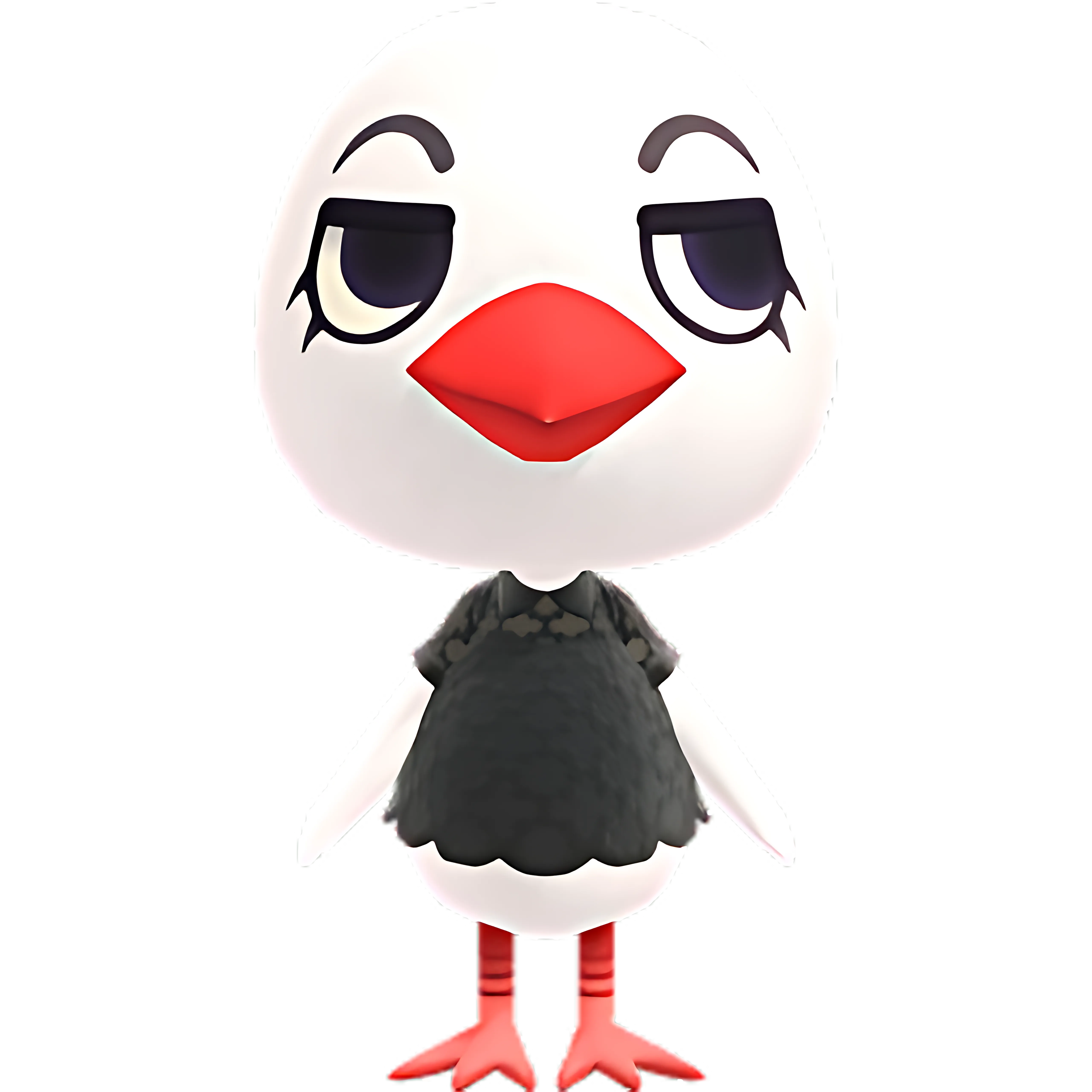 Piper