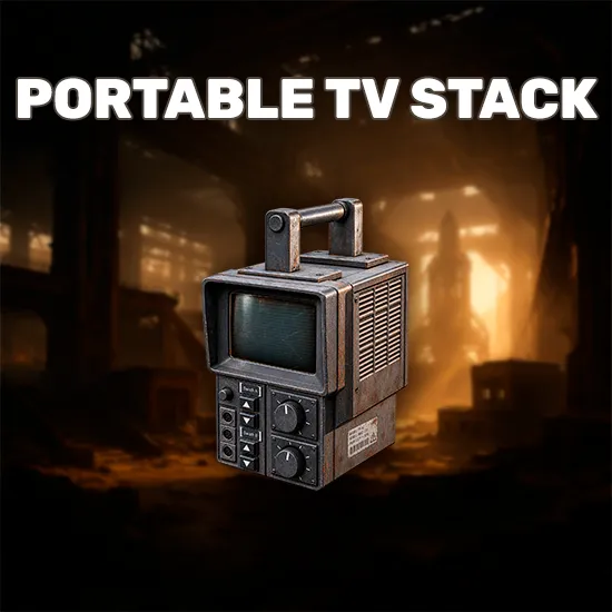 Portable TV