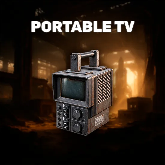 Portable TV