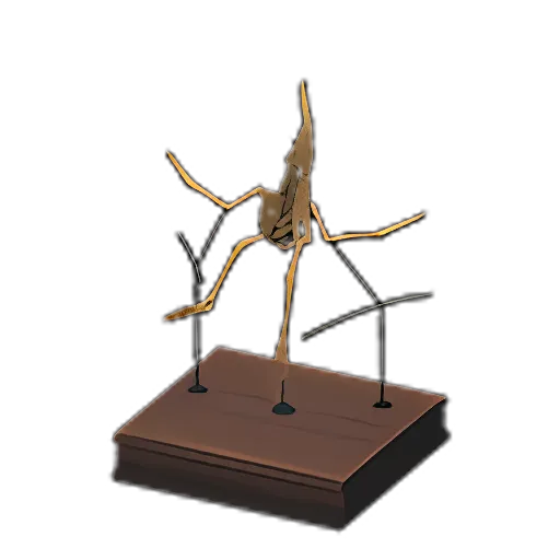 Ptera Body