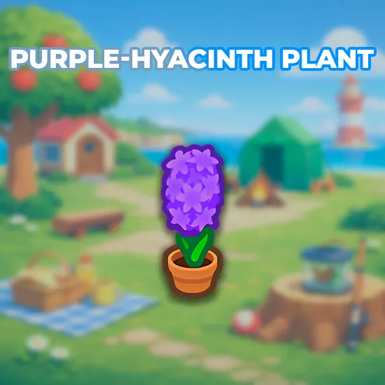 Purple-Hyacinth Plant