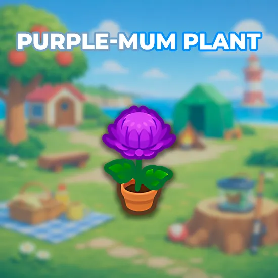 Purple-Mum Plant