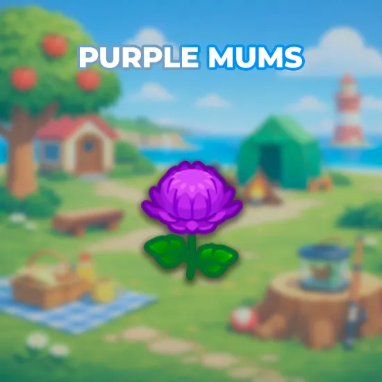 Purple Mums