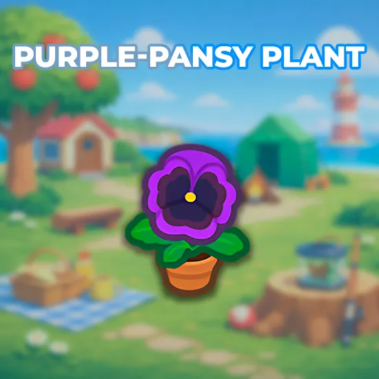 Purple-Pansy Plant