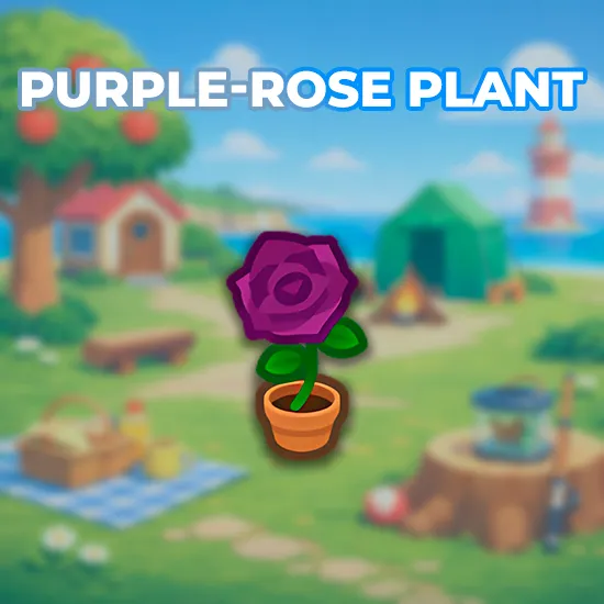 Purple-Rose Plant