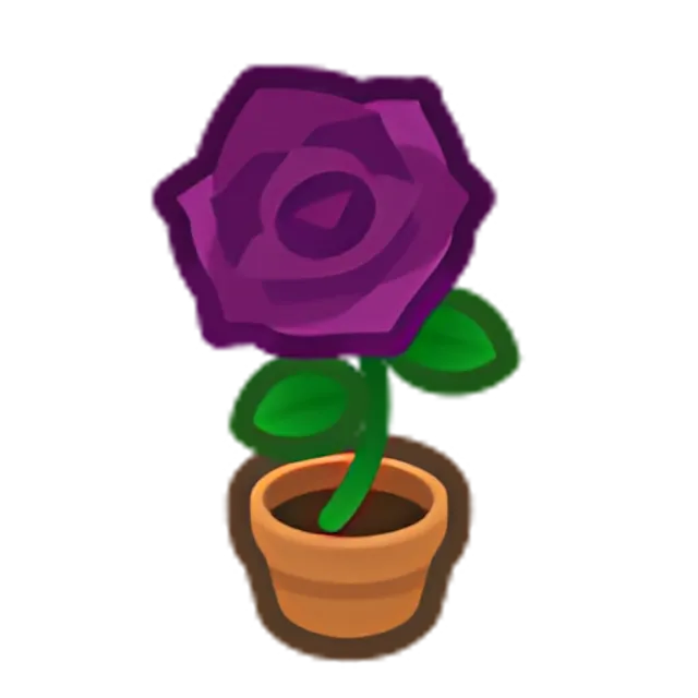Purple-Rose Plant