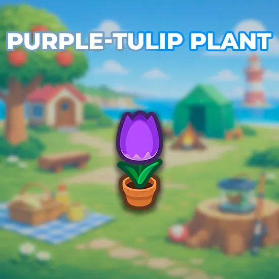 Purple-Tulip Plant