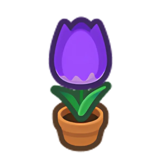 Purple-Tulip Plant