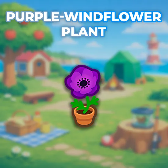 Purple-Windflower Plant