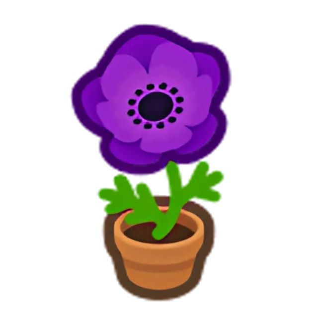 Purple-Windflower Plant