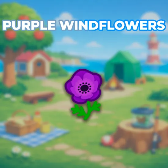 Purple Windflowers