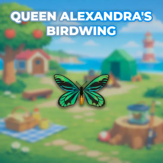 Queen Alexandra's Birdwing