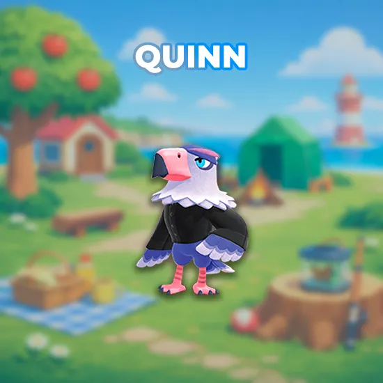 Quinn