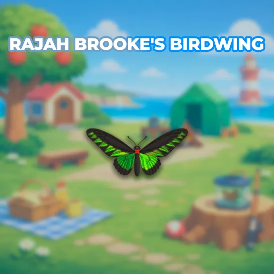 Rajah Brooke's Birdwing